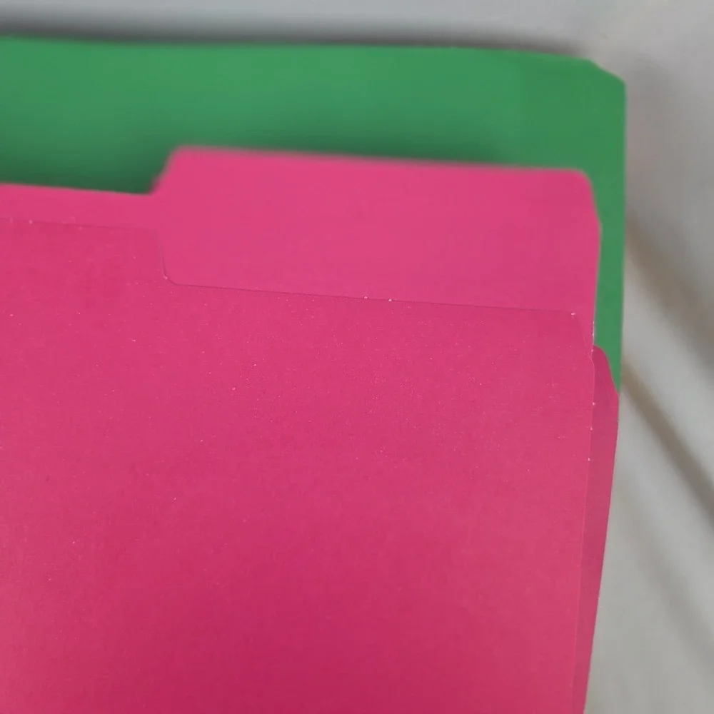 File Folder, RAZCC 250 Pack 1/3 Cut Tab Colored Folders, Colored File Folder Let